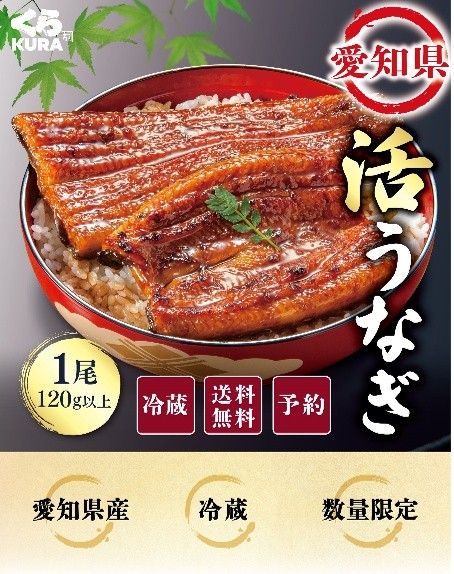 【愛知県】活うなぎ