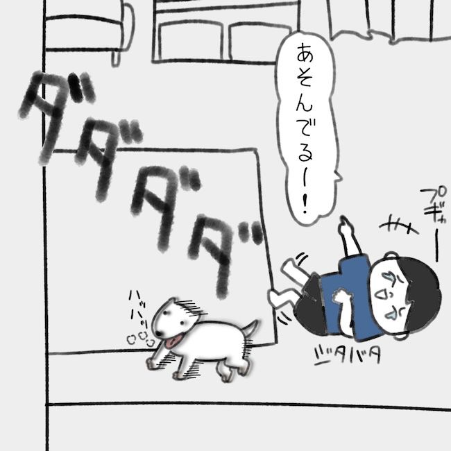 毎日来るご近所こうた君／かかじり