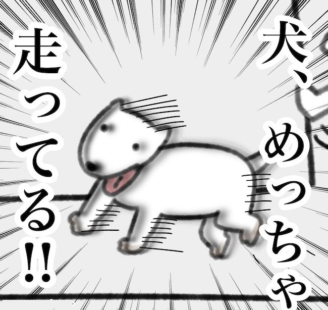 毎日来るご近所こうた君／かかじり