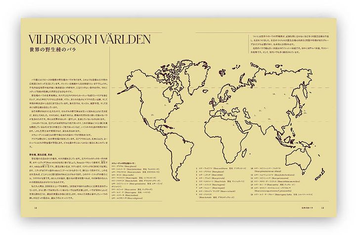 『庭を彩る野バラ 野生種とその近縁のバラ38種』