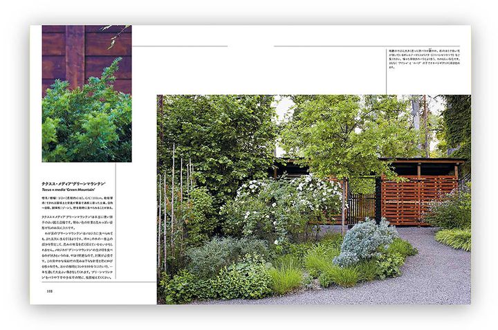 『庭を彩る野バラ 野生種とその近縁のバラ38種』