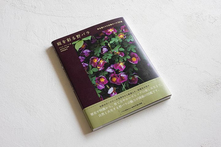 『庭を彩る野バラ 野生種とその近縁のバラ38種』