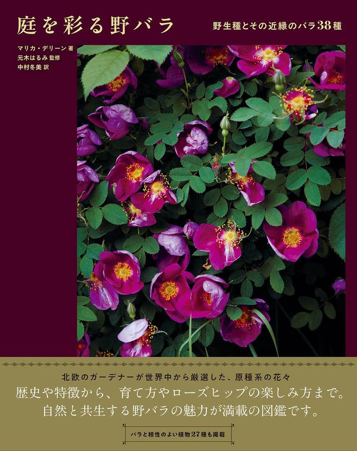『庭を彩る野バラ 野生種とその近縁のバラ38種』