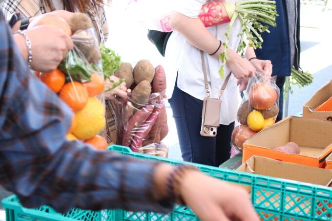 前回も好評だった野菜・フルーツ詰め放題
