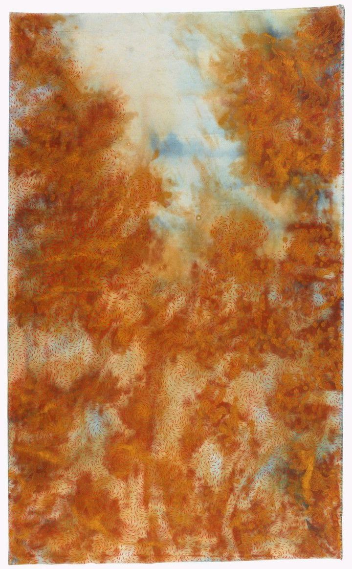 ジュディ・ワトソン《赤潮》1997年、顔料、パステル・カンヴァス、ニューサウスウェールズ州立美術館 © Judy Watson / Copyright Agency, Image © Art Gallery of New South Wales