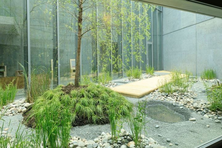 会場風景（サンクンコート） veig）《蒸庭》撮影：木奥恵三