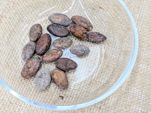 1チョコ for 1スマイル