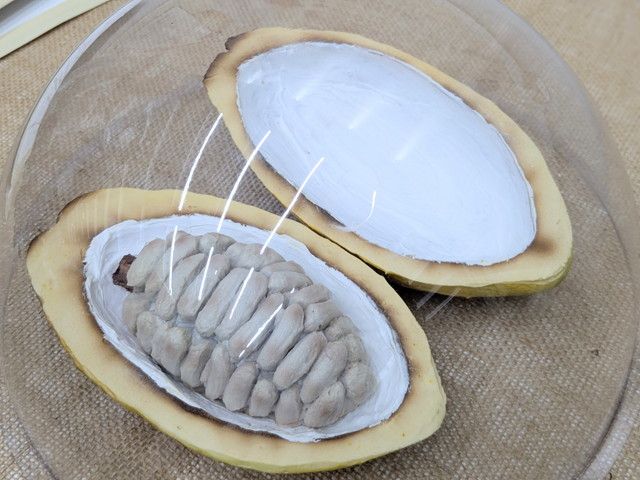 1チョコ for 1スマイル