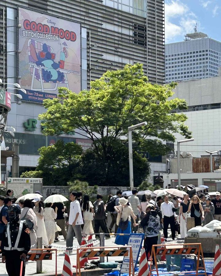 画像: 遮熱を実証【ユニクロ】の晴雨兼用傘は本当に涼しかった！