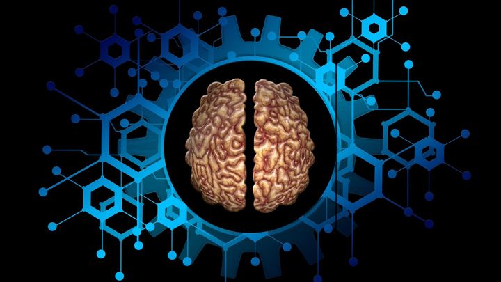 ADHD治療薬が「脳のシワ」を増やす――ただし症状とは相関せず