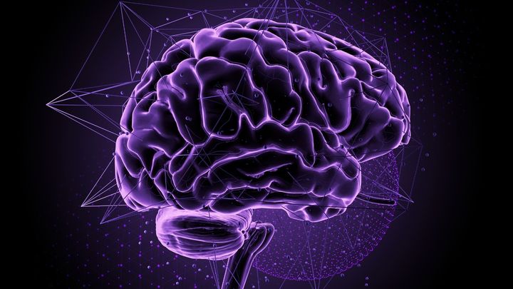 ADHDの治療に精神刺激薬を投与された成人は脳表面の複雑さが増している