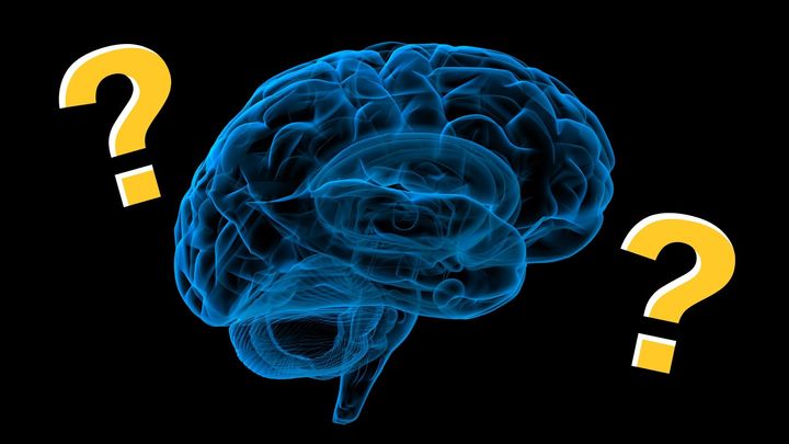 ADHD治療薬がもたらす「脳の変化」の真の意味は？