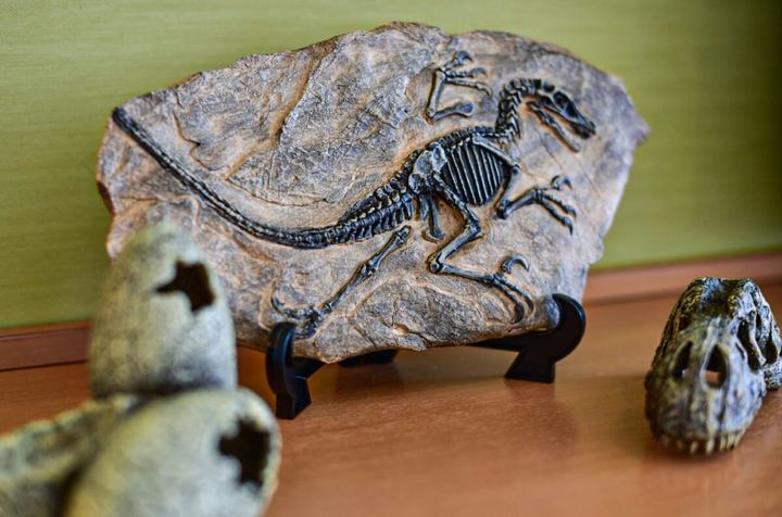 SPA＆HOTEL舞浜ユーラシア「Schleich(シュライヒ)コラボ」第5弾2