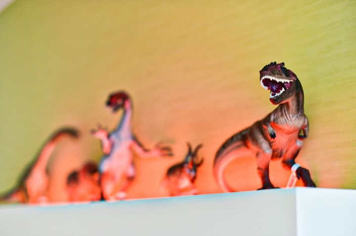 SPA＆HOTEL舞浜ユーラシア「Schleich(シュライヒ)コラボ」第5弾3