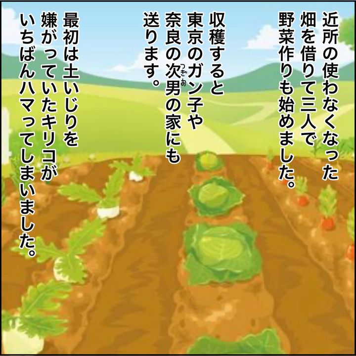 みとみぃ／800万奪った兄嫁