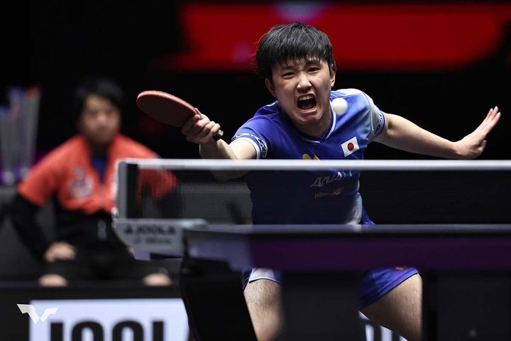 張本智和（C）WTT