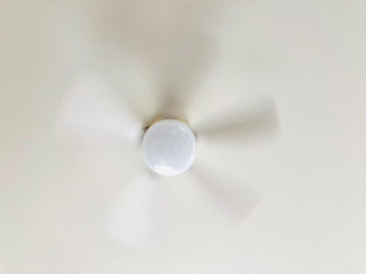 ぶんぶん回っています