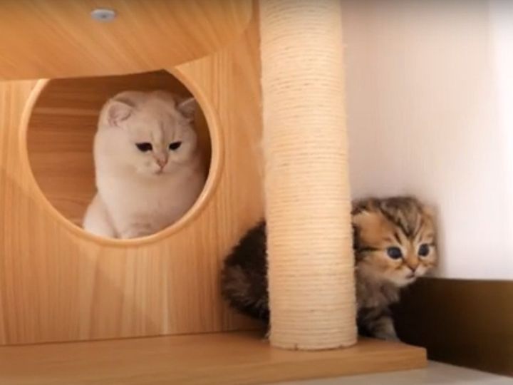 ちゃんと見守ってる！