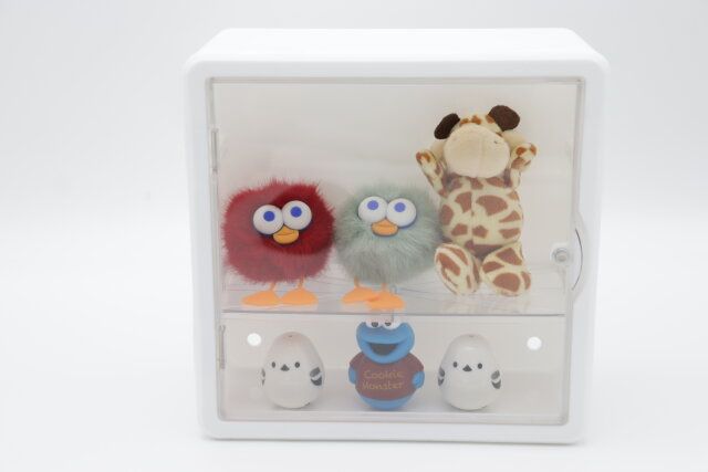 ダイソーの壁にも付けられるコレクションボックスはディスプレイの自由度が高い