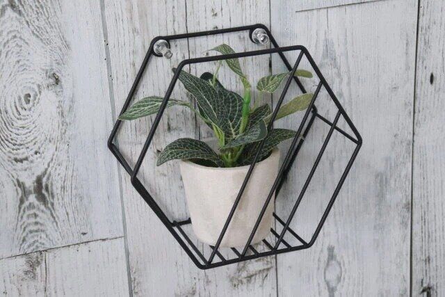 ダイソーのウォールインテリア（六角形）2