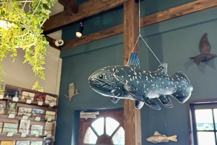 絵本作家のアトリエの世界へ♪空想の街の世界を体感できる。吉祥寺「空想街カフェ 空飛ぶ魚」