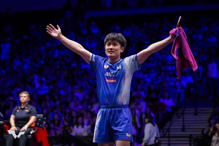 張本智和（C）WTT