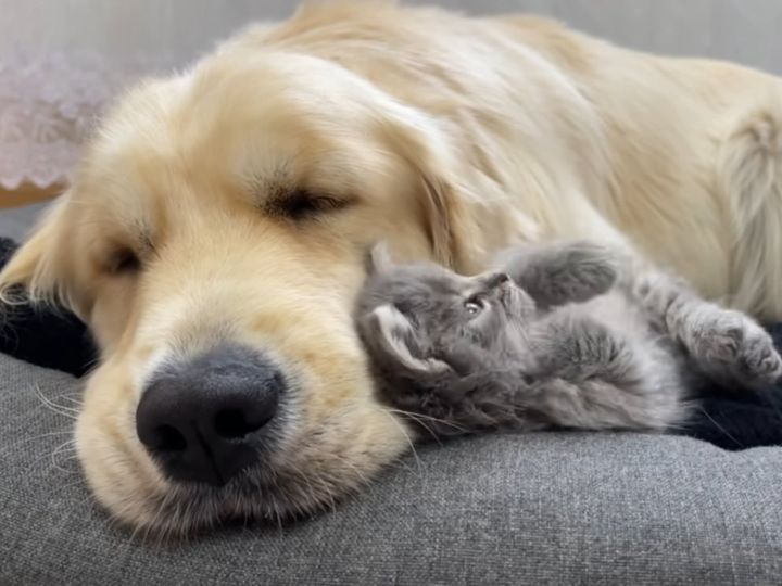 起きる？ 起きない？