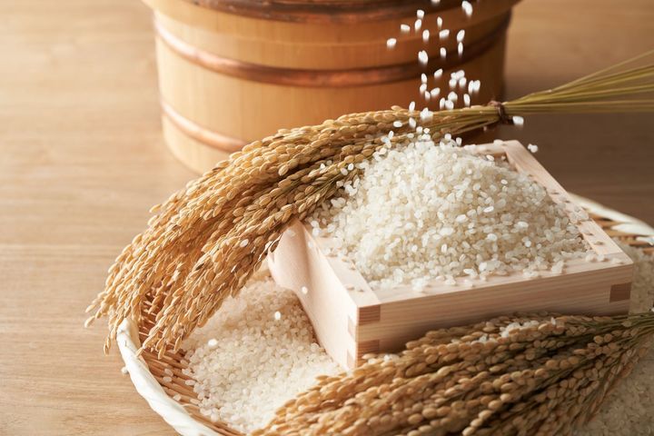 コメの摂取量を減らしている場合、代わりに何を食べればいいの？