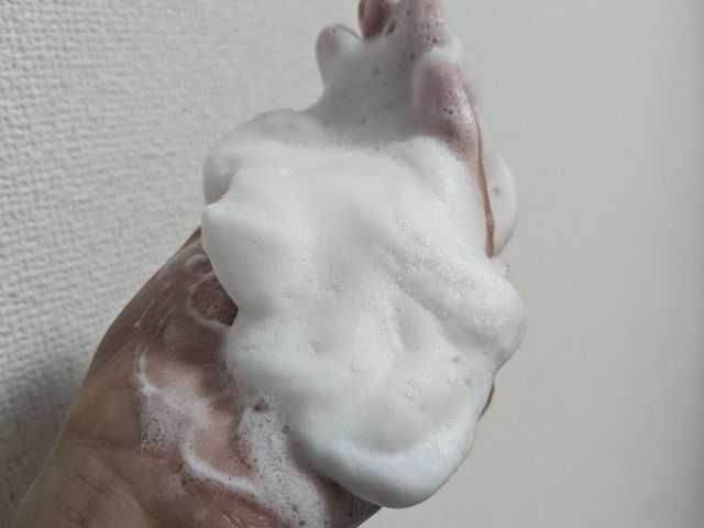 毛穴撫子の写真