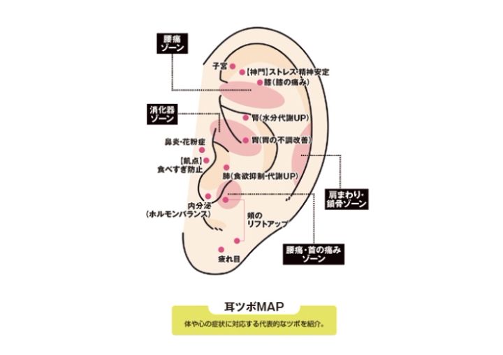耳つぼマップ
