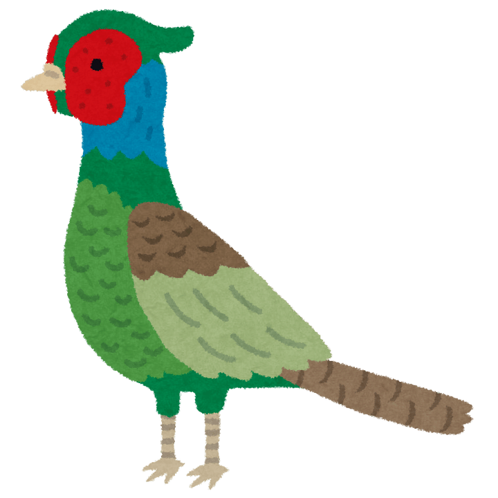 キジのイラスト | かわいいフリー素材集 いらすとや