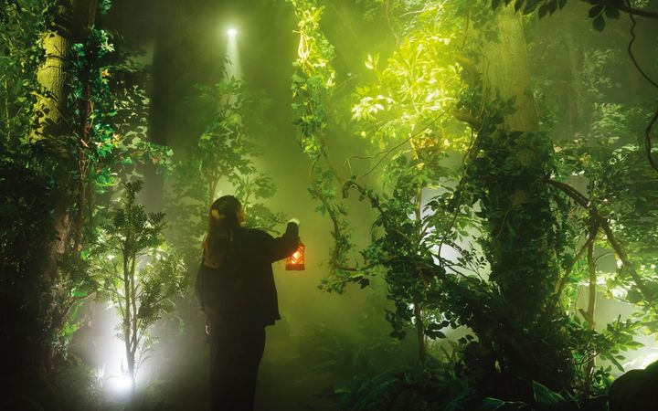 特定の場所にランタンを置くと、隠れていた動物が姿を現すなど、ユニークな演出。