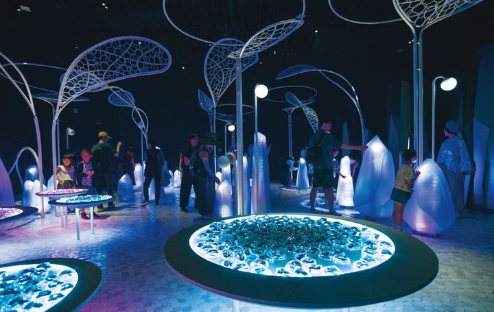 光・映像・音・空気に関する空間演出技術を駆使した、幻想的なイマーシブ空間が広がる。