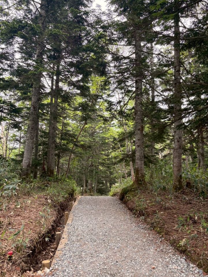 「新穂高ロープウェイ」観光