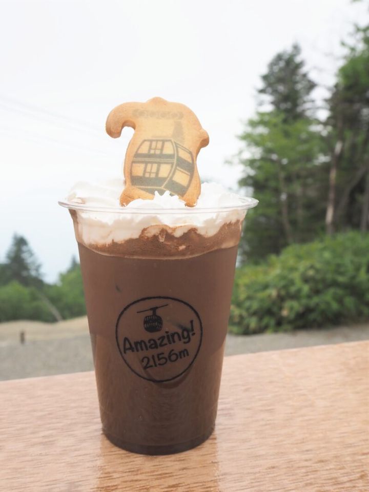 「新穂高ロープウェイ」観光