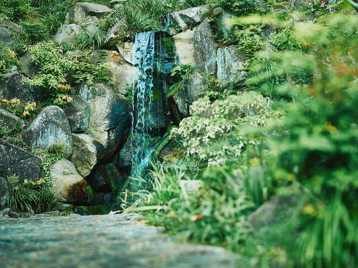 妙蓮寺「長光山 妙蓮寺」の「菊池の滝」