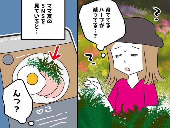 画像: 自宅の庭に植えたハーブが減っていく、、、料理好きママ友のSNSを見て「この人が犯人だ」と確信した理由