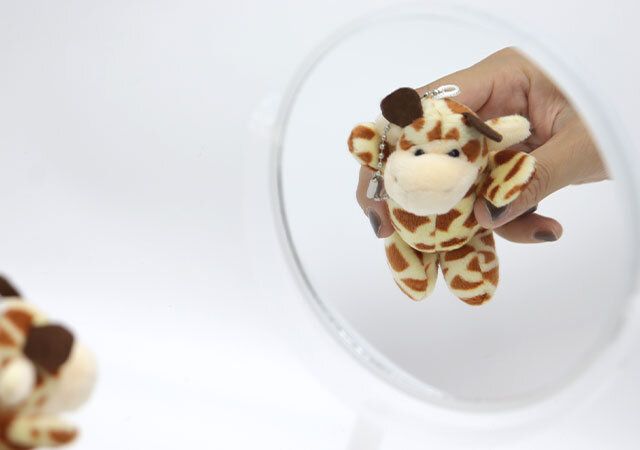 ダイソー 両面卓上ミラー ラウンドクリア 使用例 拡大鏡