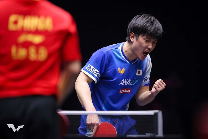 張本智和（C）WTT