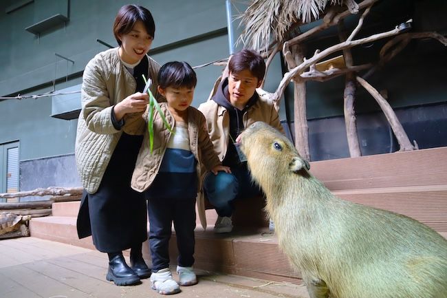カワスイ水族館