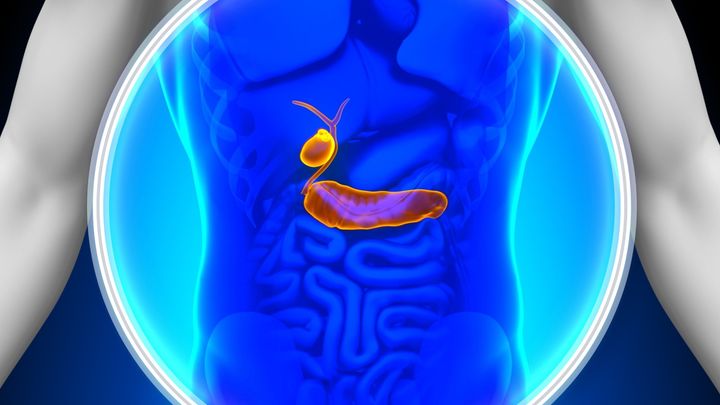 「血糖値を下げる」から「細胞を増やす」へ――糖尿病治療を一変させるS-AMPの可能性