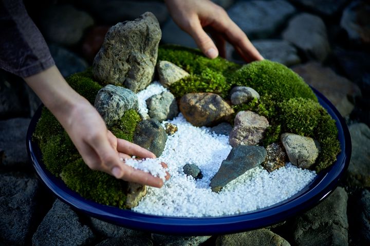 ミニチュア日本庭園づくり 一名 5,000円（税込）所要時間：1.5時間