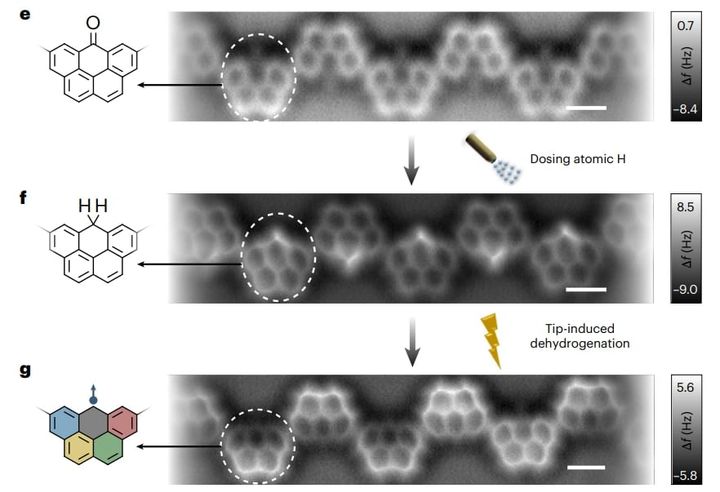 「スピンの幽霊」を観測！量子物理学の100年の予言が的中