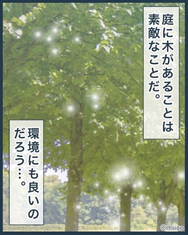 となりの庭に泣かされた／みぃ子