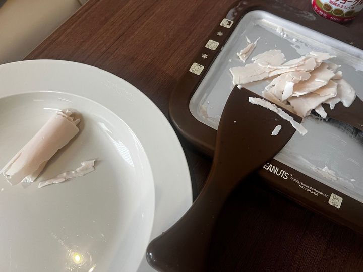 付録でいいの？欲しかったロールアイスクリームマシーン