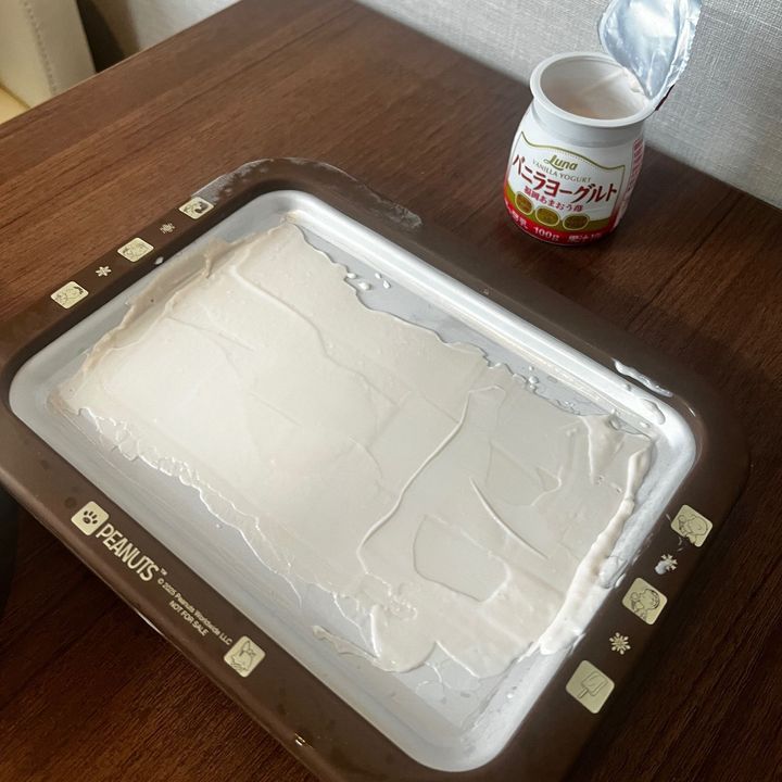 付録でいいの？欲しかったロールアイスクリームマシーン