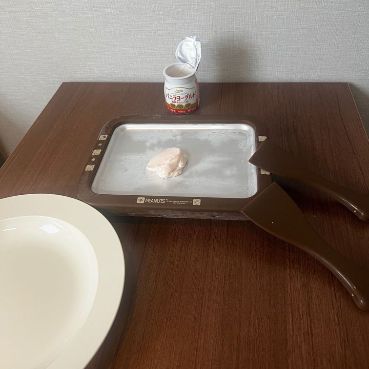 付録でいいの？欲しかったロールアイスクリームマシーン