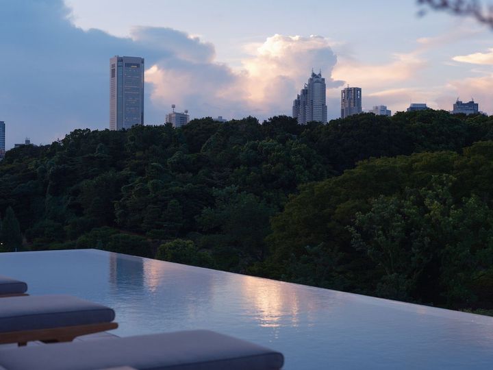 その数1万本以上と言われる代々木公園の樹林に包み込まれる。