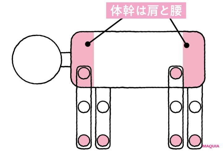 3つのチェックでわかる、スクワット＆ストレッチが効かない理由。あなたの体タイプは陰？陽？ _11