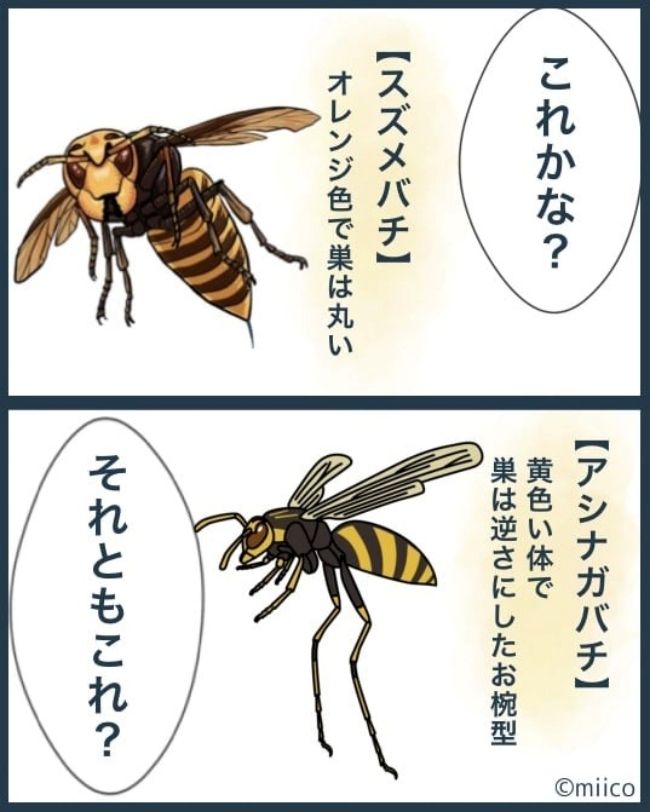 となりの庭に泣かされた／みぃ子